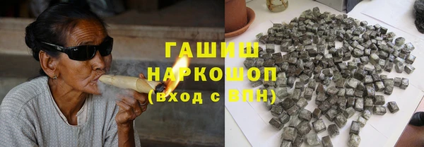 гашик Алексин