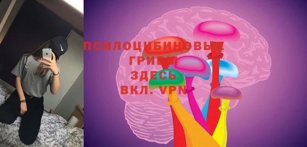 соль курить ск Алзамай