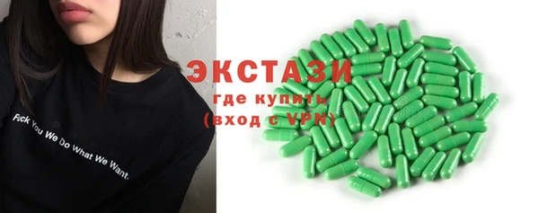 гашик Алексин