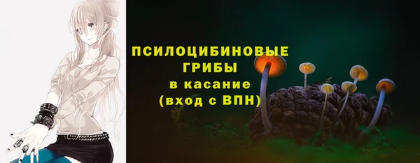 гашик Алексин