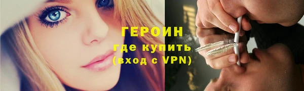 гашик Алексин