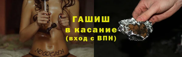 гашик Алексин