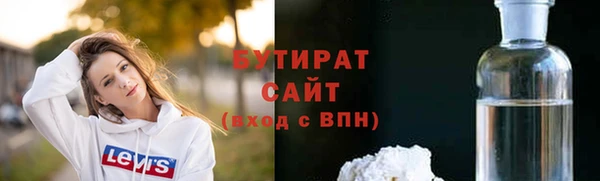 гашик Алексин