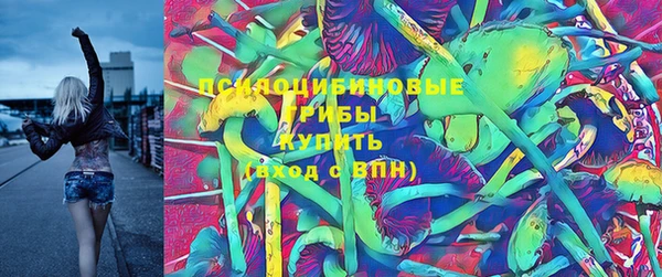 соль курить ск Алзамай
