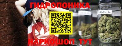 СК Заводоуковск
