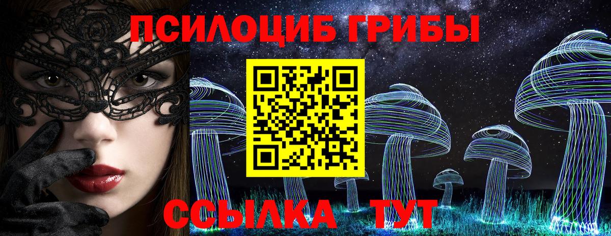 Псилоцибиновые грибы прущие грибы Мирный